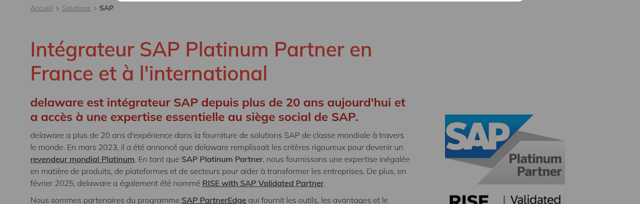 Page SAP de delaware France, intégrateur SAP Platinum Partner